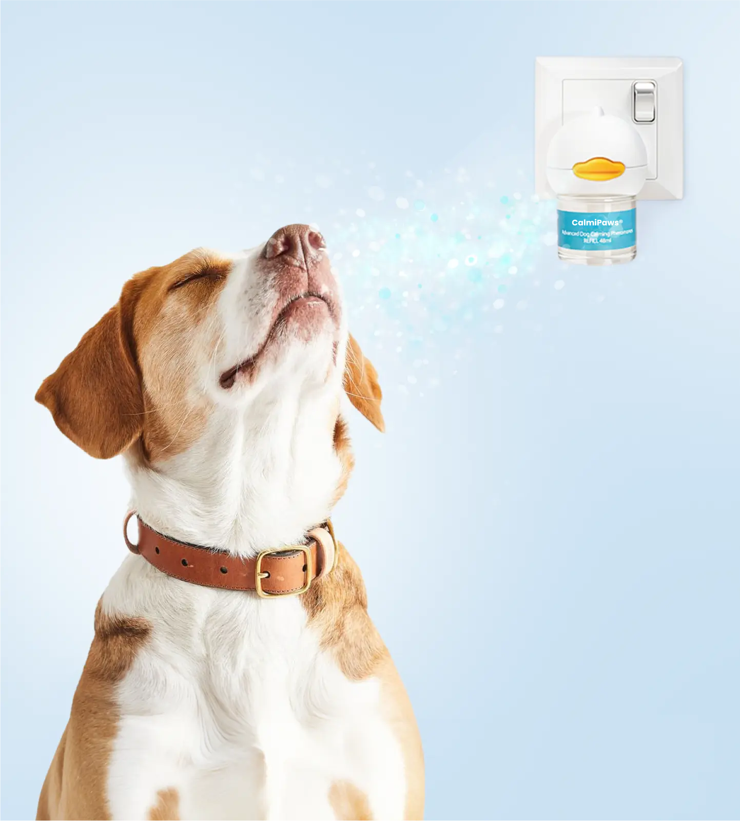 Korriva Dog Diffuser – Calm Dogs Instantly