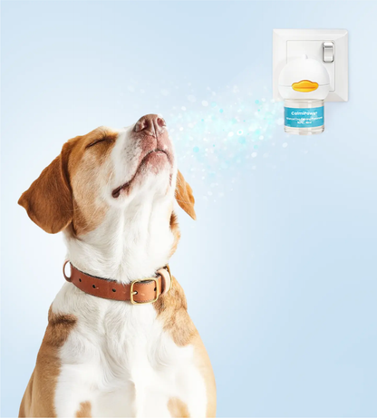 Korriva Dog Diffuser – Calm Dogs Instantly