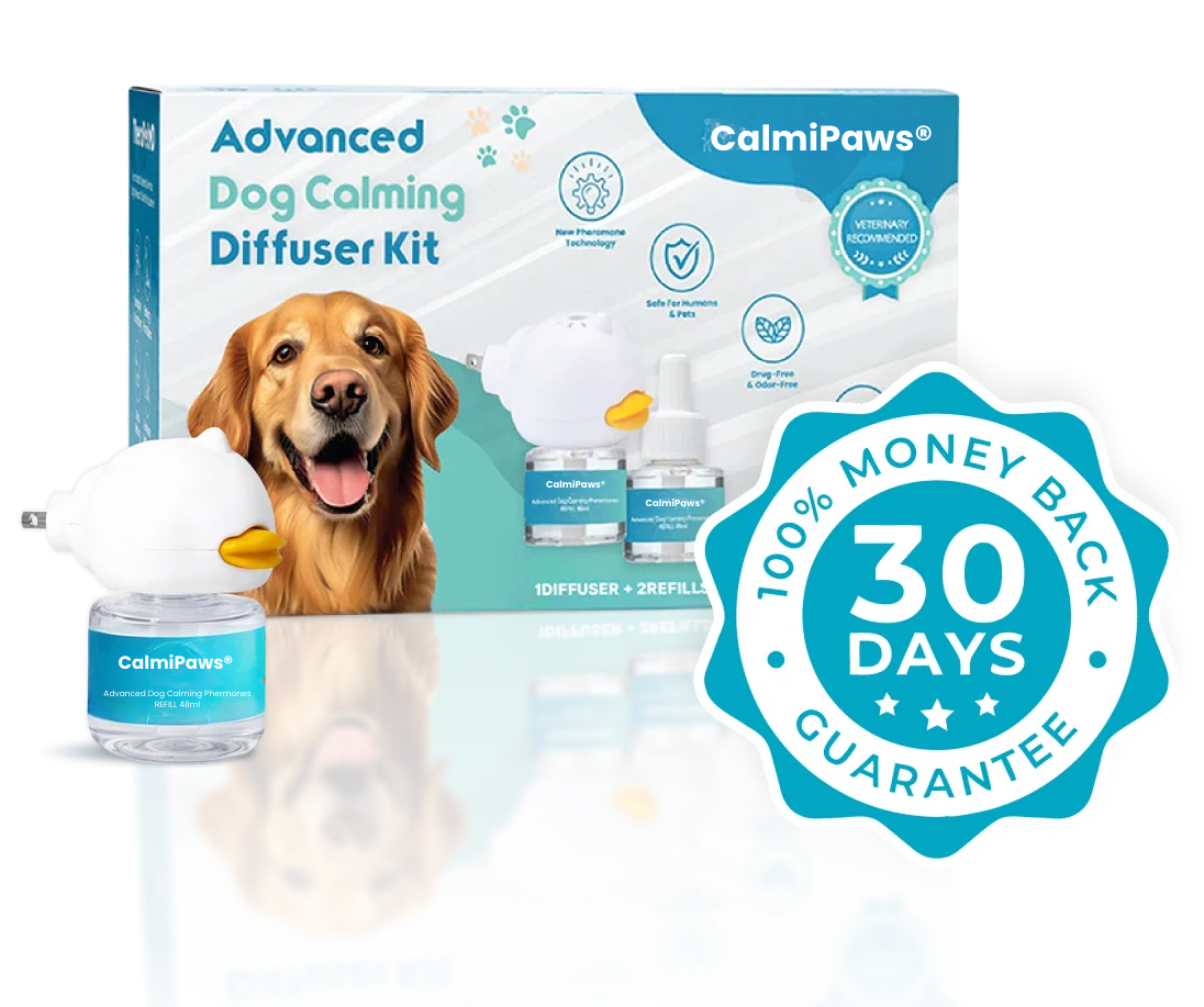 Korriva Dog Diffuser – Calm Dogs Instantly